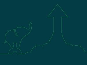 Lightfoot 2025 stats